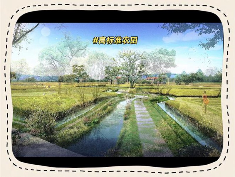 堤防加固：守护城市的安泰脊梁